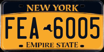 NY license plate FEA6005