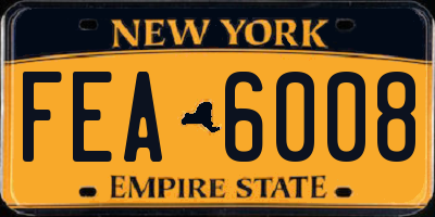 NY license plate FEA6008