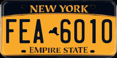 NY license plate FEA6010