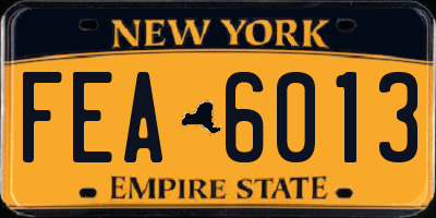 NY license plate FEA6013