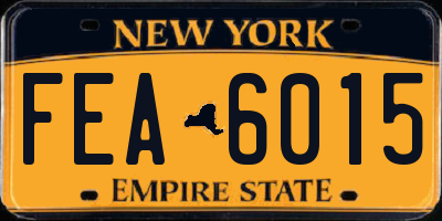 NY license plate FEA6015