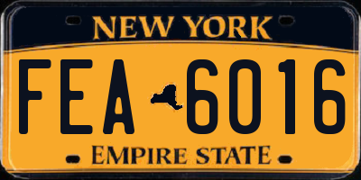 NY license plate FEA6016