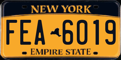 NY license plate FEA6019