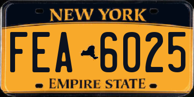 NY license plate FEA6025