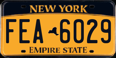 NY license plate FEA6029
