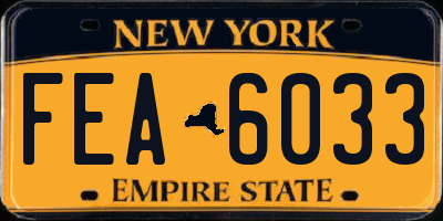 NY license plate FEA6033