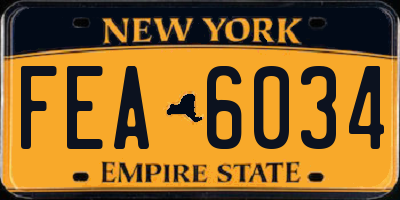 NY license plate FEA6034