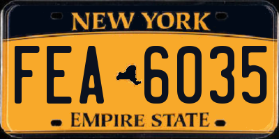 NY license plate FEA6035