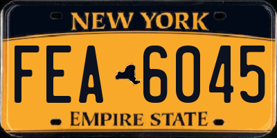 NY license plate FEA6045