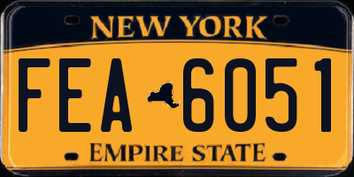 NY license plate FEA6051