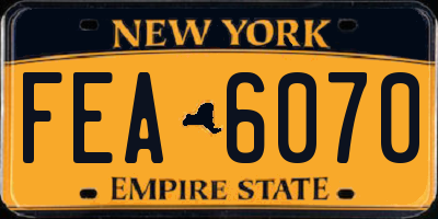 NY license plate FEA6070