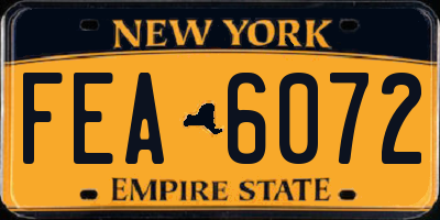 NY license plate FEA6072