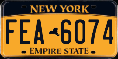 NY license plate FEA6074