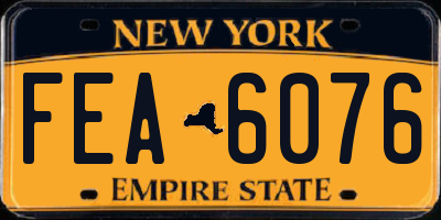 NY license plate FEA6076