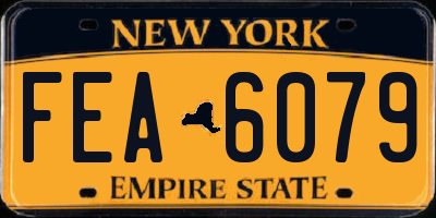 NY license plate FEA6079