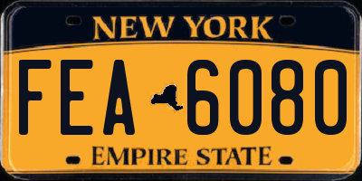 NY license plate FEA6080