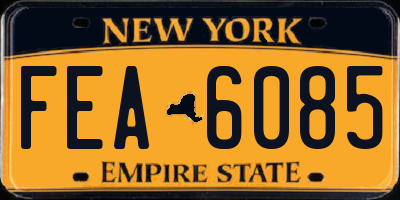 NY license plate FEA6085