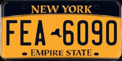 NY license plate FEA6090