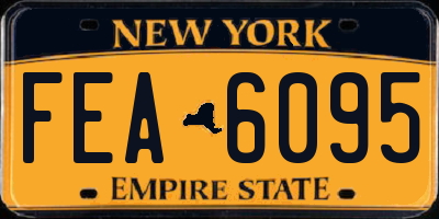 NY license plate FEA6095