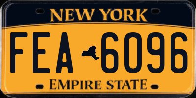 NY license plate FEA6096