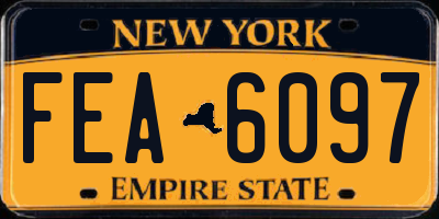 NY license plate FEA6097