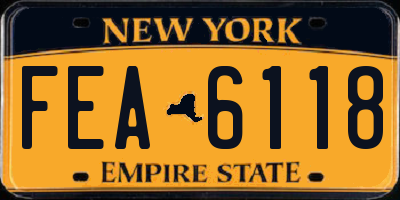 NY license plate FEA6118
