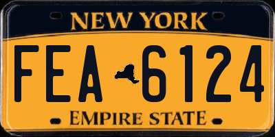 NY license plate FEA6124