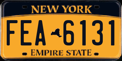 NY license plate FEA6131