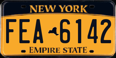 NY license plate FEA6142