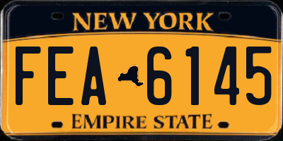 NY license plate FEA6145