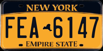 NY license plate FEA6147