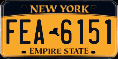 NY license plate FEA6151