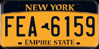 NY license plate FEA6159