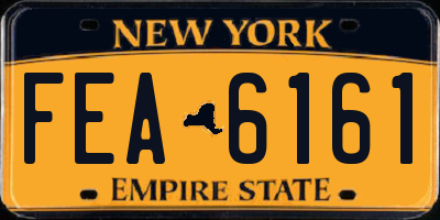NY license plate FEA6161