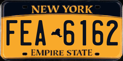 NY license plate FEA6162