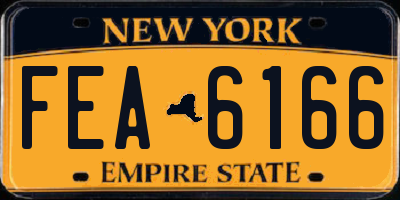 NY license plate FEA6166