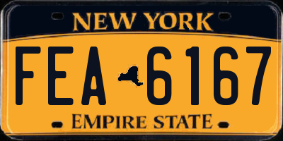 NY license plate FEA6167