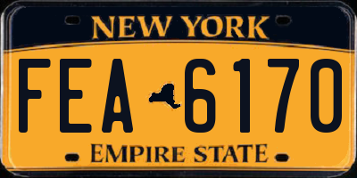 NY license plate FEA6170
