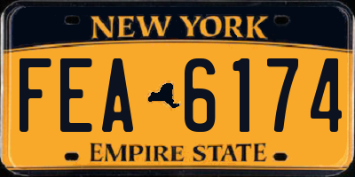 NY license plate FEA6174