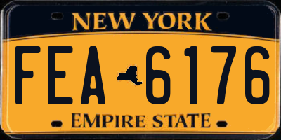 NY license plate FEA6176