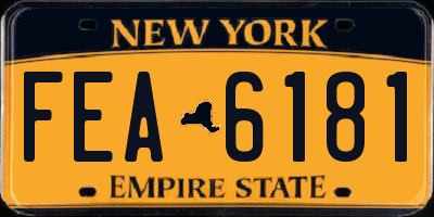 NY license plate FEA6181