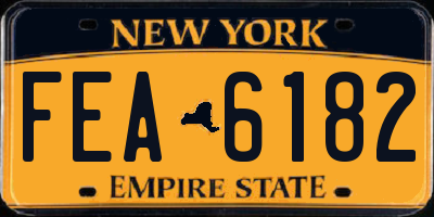 NY license plate FEA6182