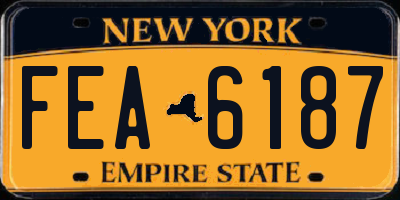 NY license plate FEA6187