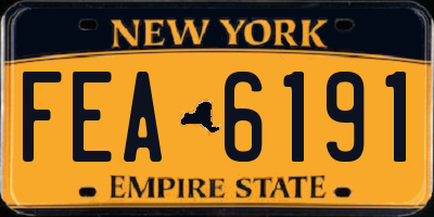 NY license plate FEA6191