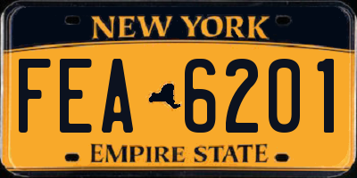 NY license plate FEA6201