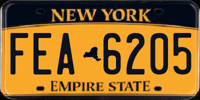 NY license plate FEA6205