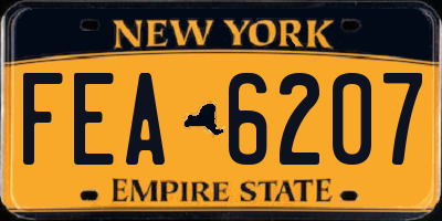 NY license plate FEA6207