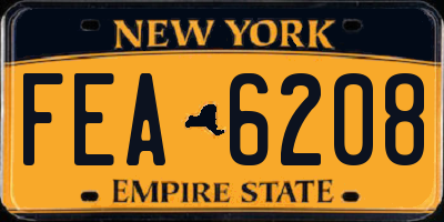 NY license plate FEA6208