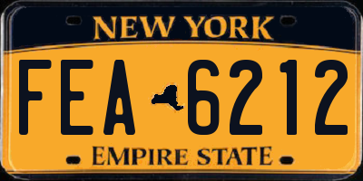 NY license plate FEA6212