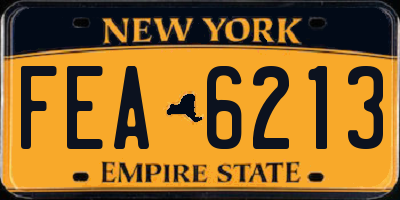 NY license plate FEA6213